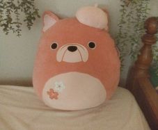 squishmallow