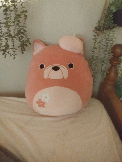 squishmallow