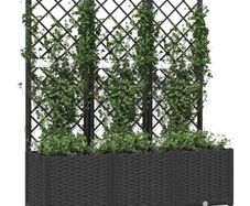 Garden Black 120 x 40 x 136 cm