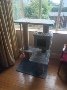 cat scratching post
