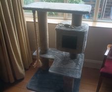 cat scratching post