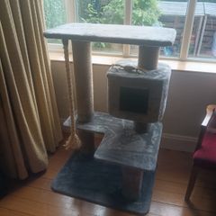 cat scratching post