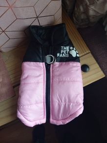 dog jacket