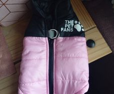 dog jacket