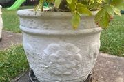 concrete pots