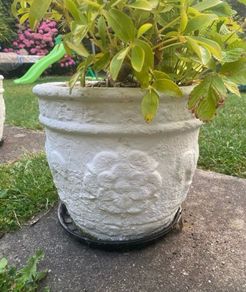 concrete pots