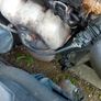 opel corsa for scrap Image 5