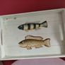 Wood Tray Image 5