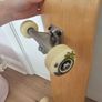 Skateboard Image 6