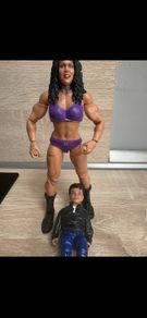 wwe elite Chyna