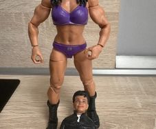 wwe elite Chyna