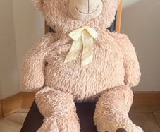 teddy bear