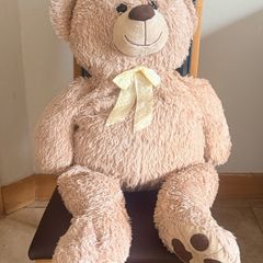teddy bear