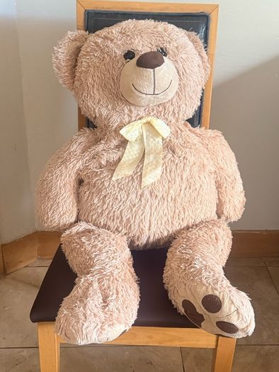 teddy bear