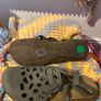 Shoes, Boots and Sandals Image 6