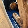 Woden W 5 1/2 wide jack plane Image 5
