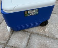 igloo cool box on wheels