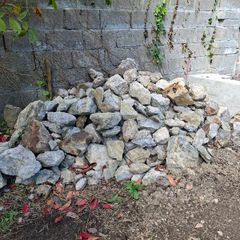 Medium and small rocks free to collect from raheny. Can help you pack them up if needed