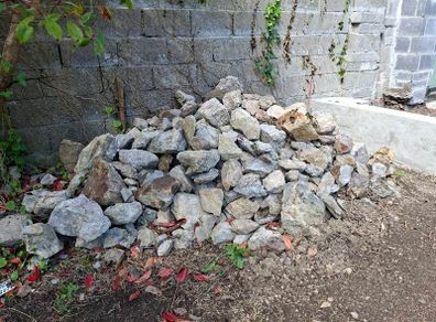 Medium and small rocks free to collect from raheny. Can help you pack them up if needed