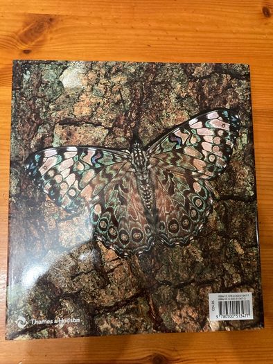 'Camouflage' by Tim Newark