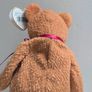 NEW Rare Retired Ty Beanie Baby - Curly the Bear Image 7