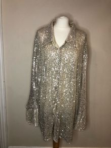 Boohoo champagne sequinned blouse (size 28)