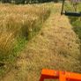 Mulching service Image 5