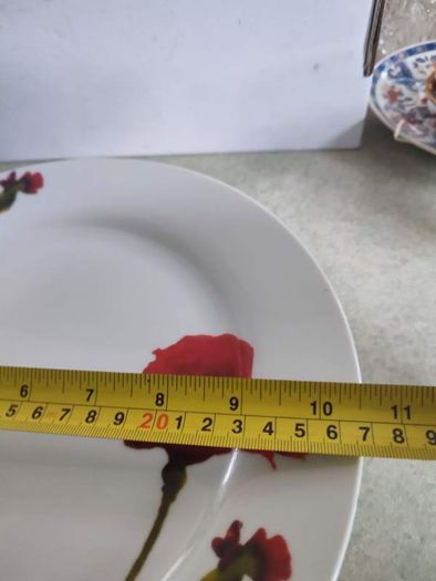 Rayware Alpine Poppy Teapot plus 5 Aynsley dessert plates and 3 dinner plates BREEZE everyday use.