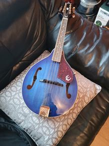 mandolin