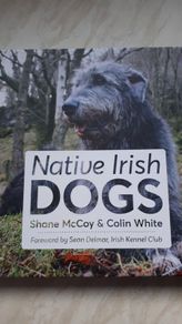 Native Irish Dogs