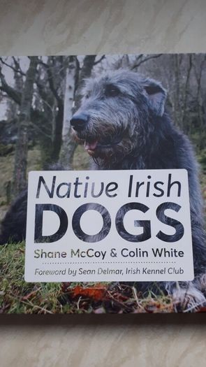 Native Irish Dogs