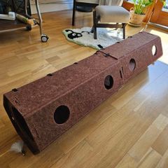 cat play tunnel