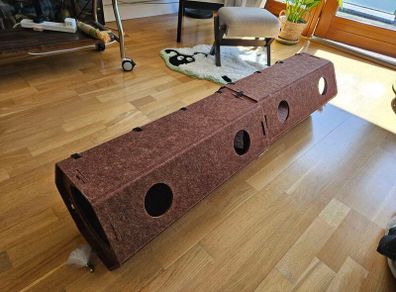 cat play tunnel