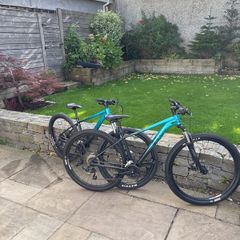 bike- Giant Liv Tempt