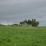 kildare464