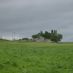 kildare464