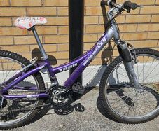 bicycle