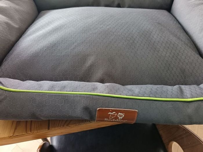 free dog bed