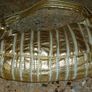HANDBAG HAND BAG Brand Full Circle. Immaculate quality bag with gold panelling. Image 8