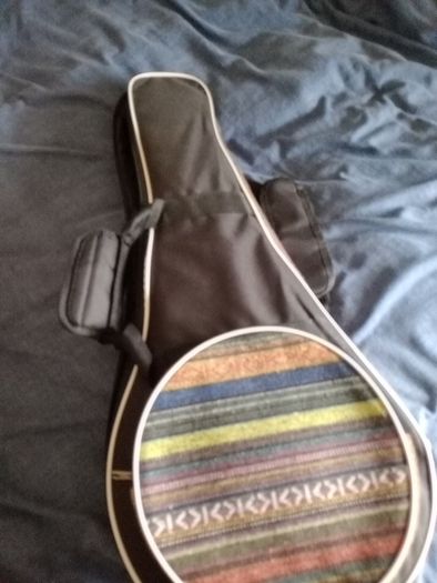 Palmer mandolin P3W  late 70s r early 80s and gigbag