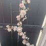 Rose Garland Image 2