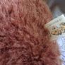 Brown Bear Image 2