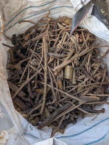 Free Dry Tree Branches / Kindling