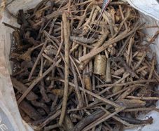 Free Dry Tree Branches / Kindling