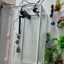 fish tank Image 3