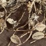 Christmas selection for decorations or artwork Image 3