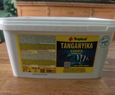 Dry fish food