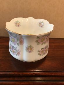 Royal Tara Plant Pot