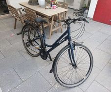 Womens Raleigh Pioneer bike