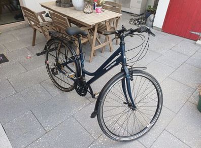 Womens Raleigh Pioneer bike